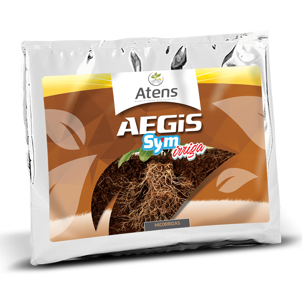 Aegis Sym Irriga