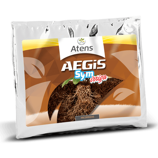 Aegis Sym Irriga