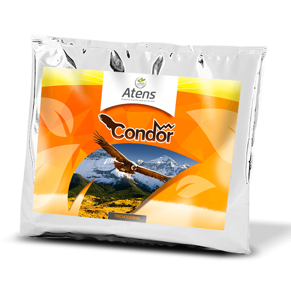 CONDOR Shield