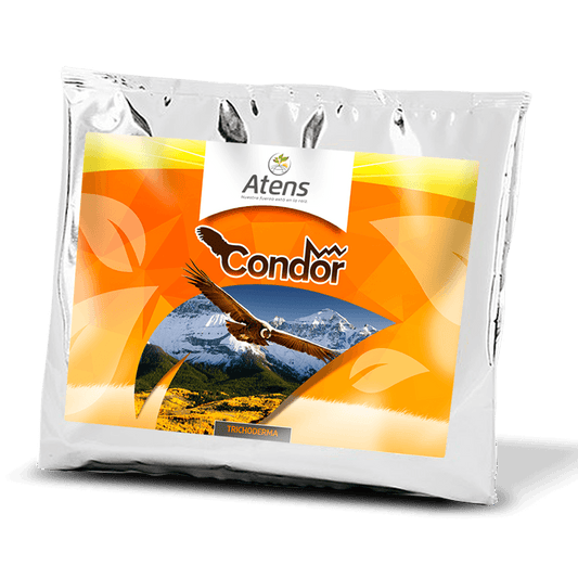 CONDOR Shield