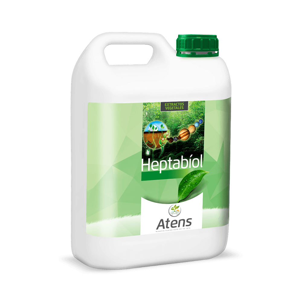 Heptabiol Raid