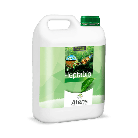 Heptabiol Raid